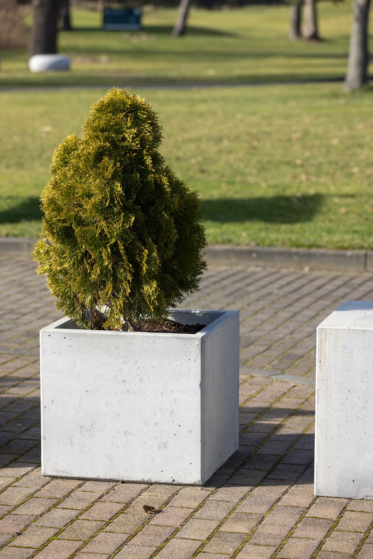 Betonowa donica Cubo 50
