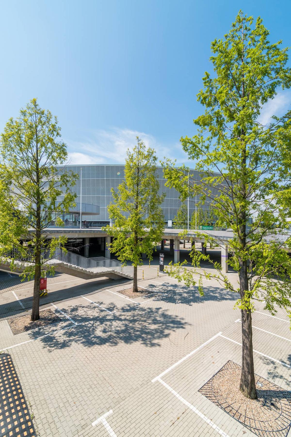 Tarczyński Arena we Wrocławiu