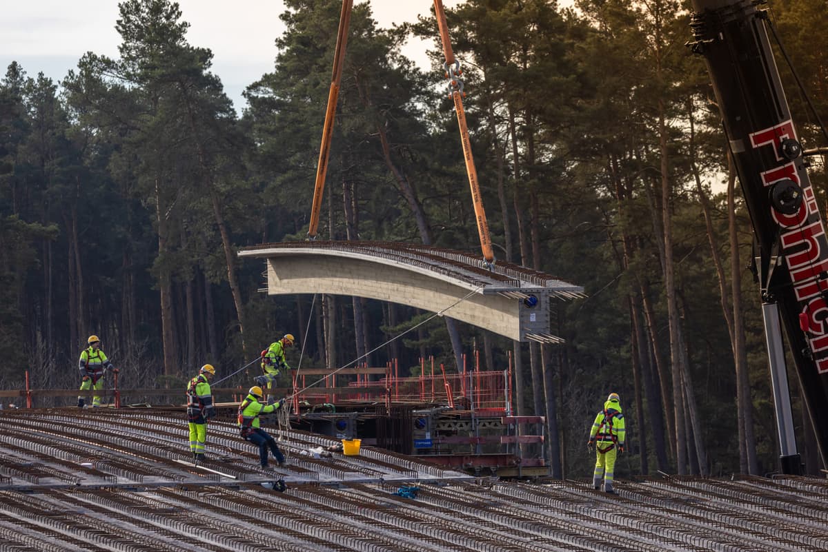 Zielony most  - przejście dla zwierząt