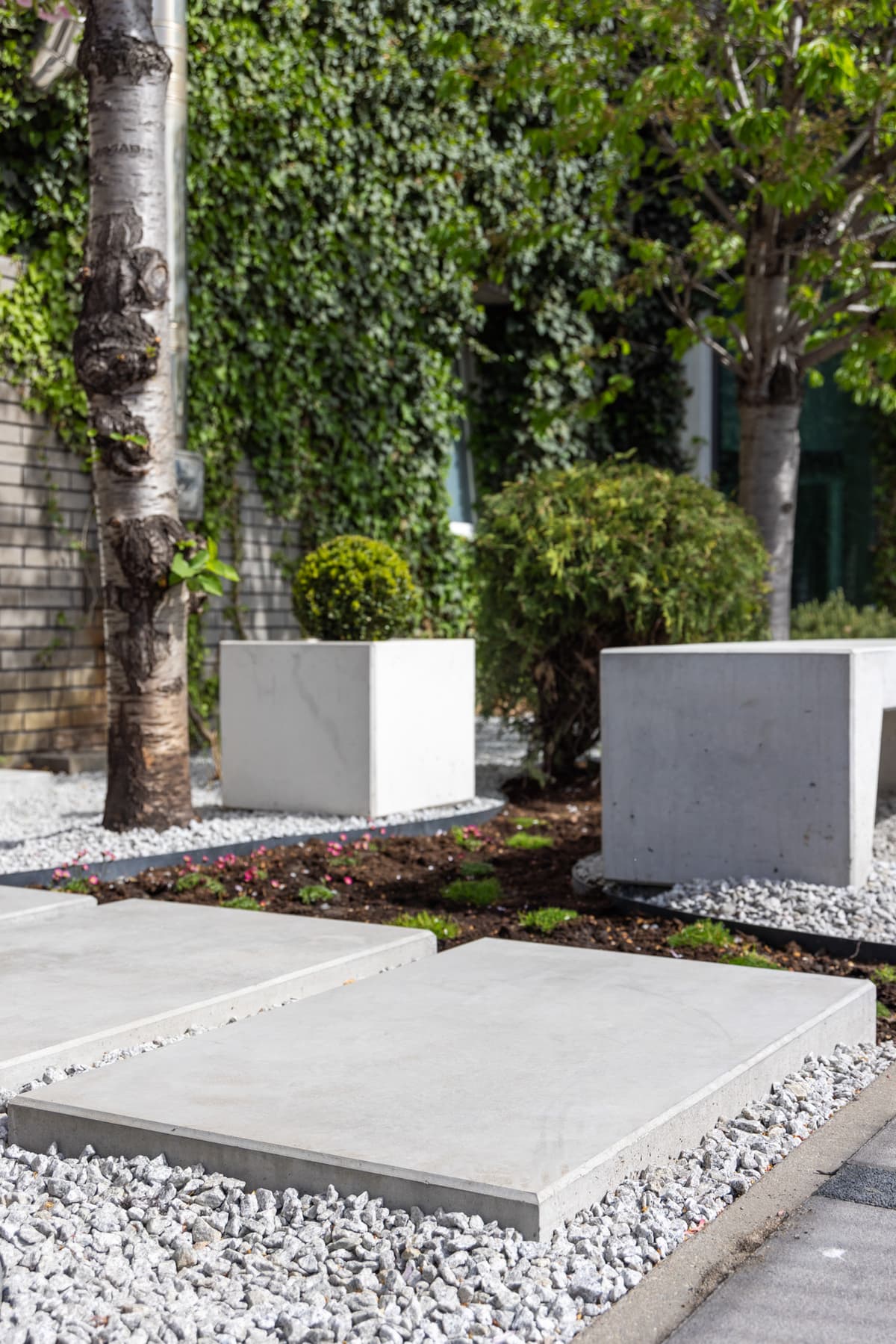 Betonowa donica Cubo za ścieżką w ogrodzie