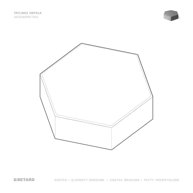 Kostka brukowa Trylinka zwykła rysunek produktu