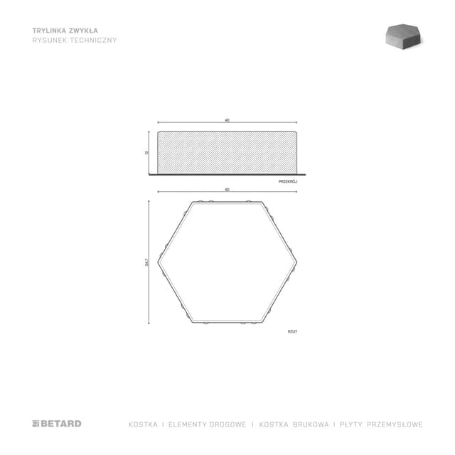 Kostka brukowa Trylinka zwykła rzut produktu
